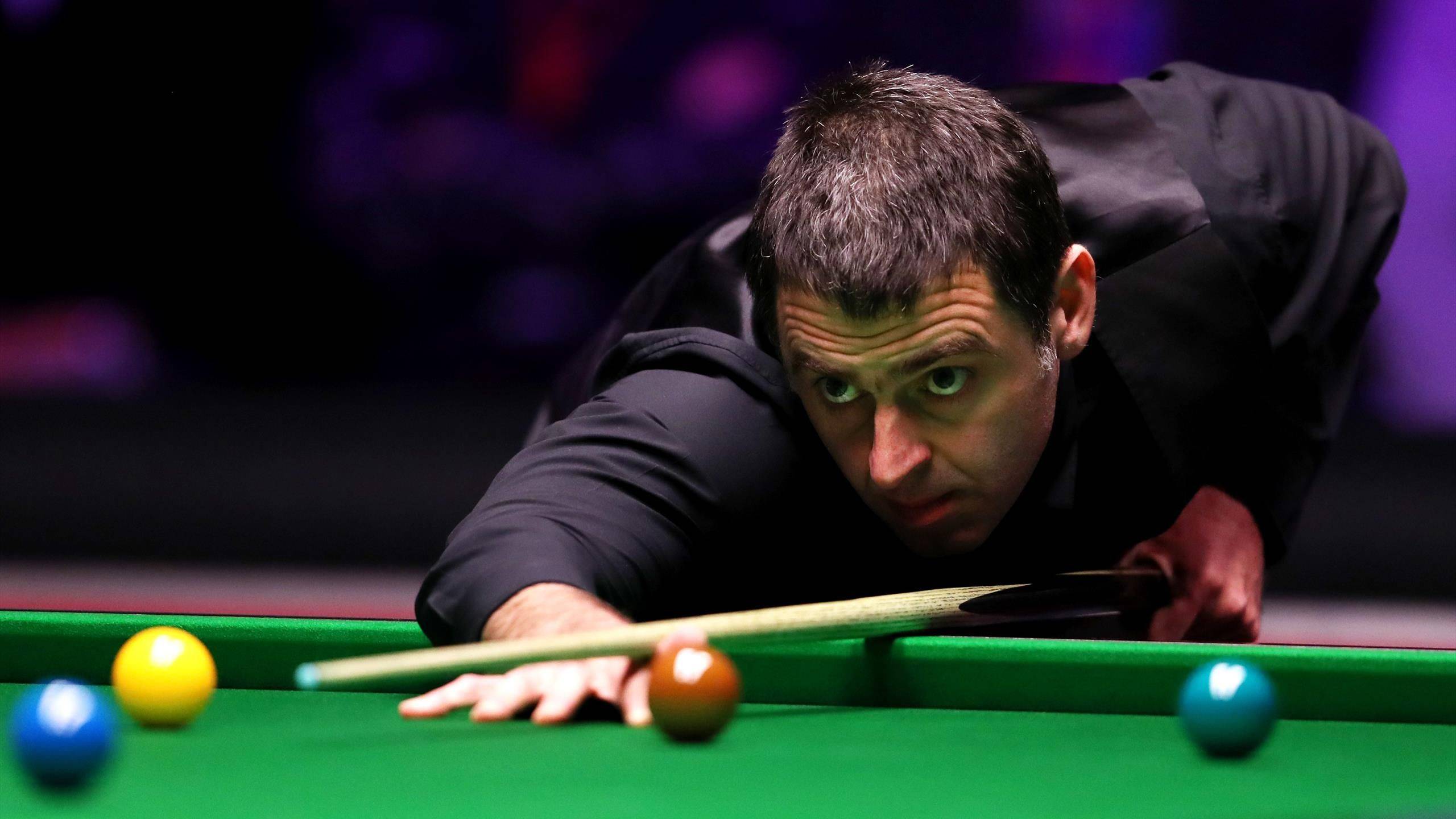 强大的支持 强大的支持