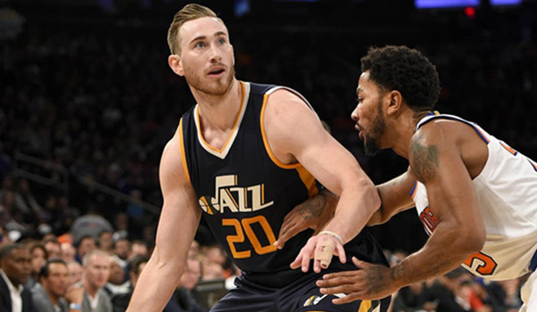 理论研究人 理论研究人